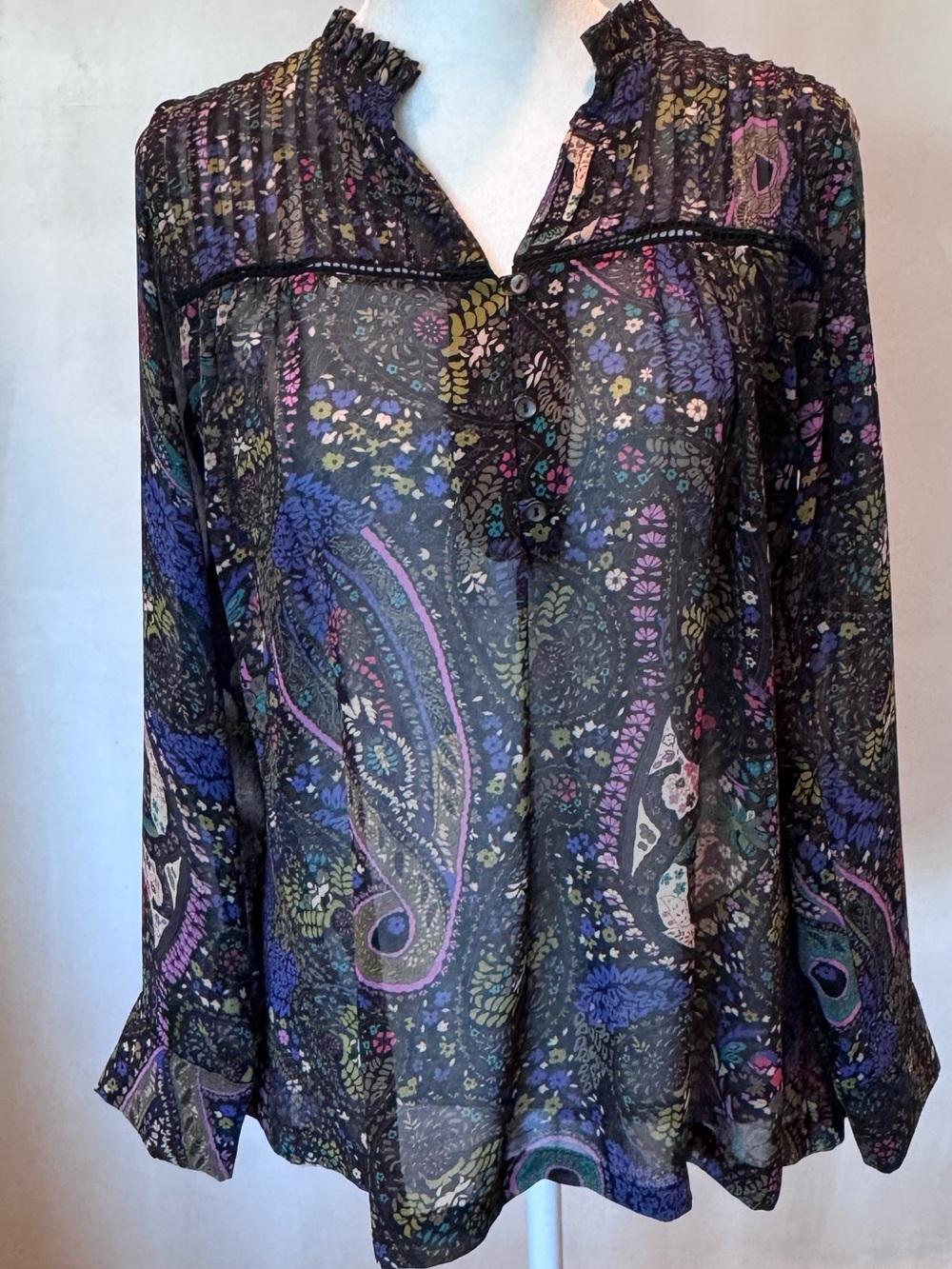 Sheer Dolan long sleeve blouse